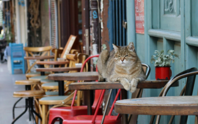 Restaurant Hiring No-Shows: Why Candidates Disappear