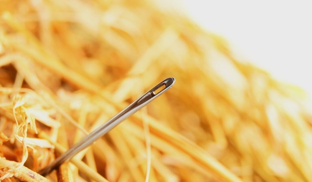 Needle in a haystack representing hospitality employee dedication